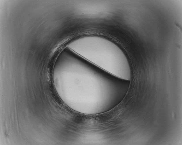 X0000099540731200805160748
