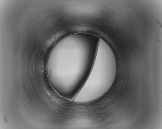 X0000099540732200805160748