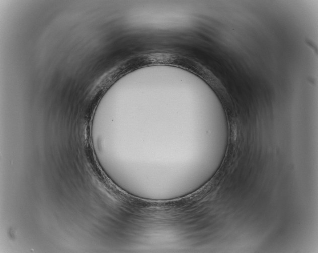 X0000099540733200805160748