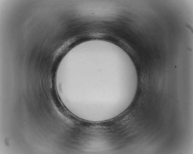 X0000099540734200805160748