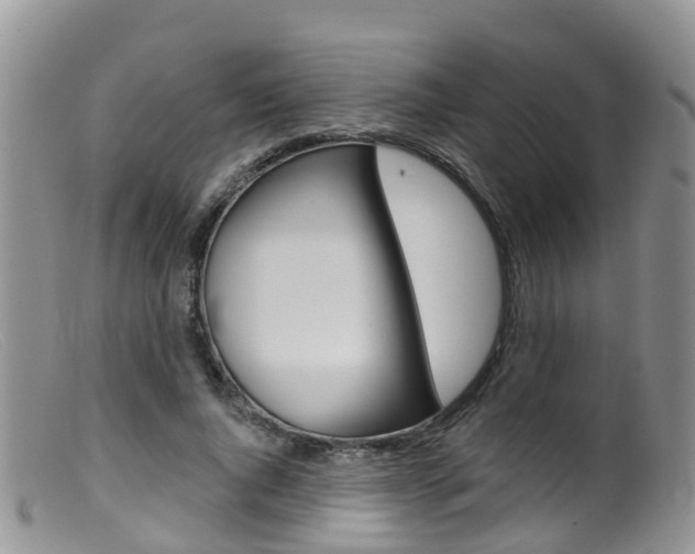 X0000099540736200805160748