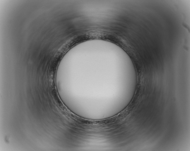 X0000099540737200805160748