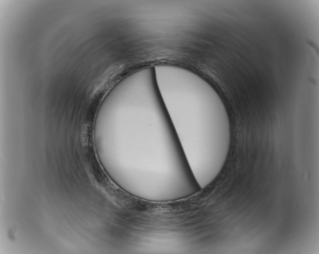 X0000099540738200805160748