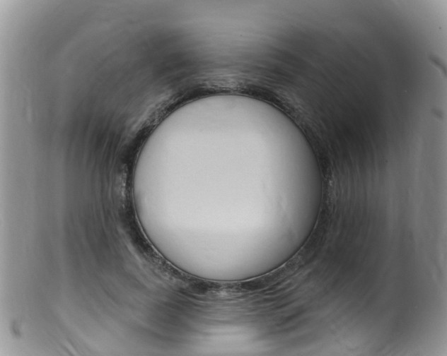 X0000099540739200805160748