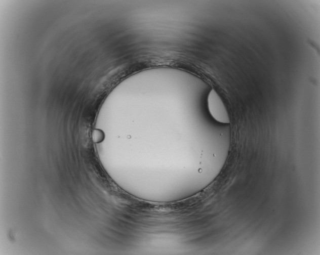 X0000099540741200805160748