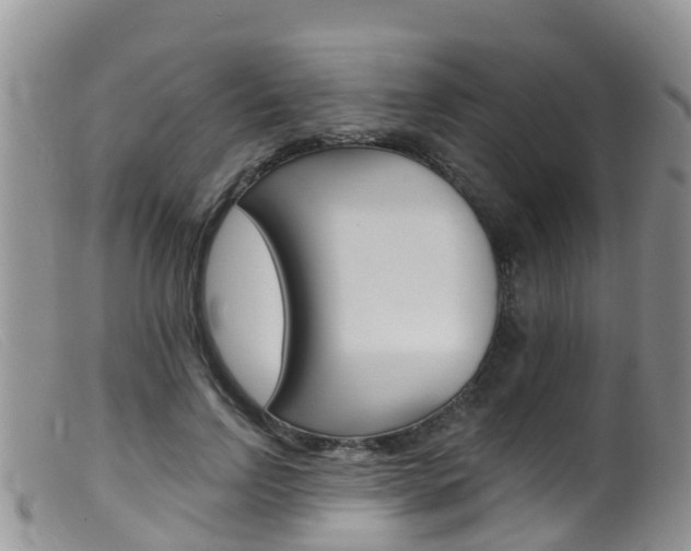 X0000099540742200805160748