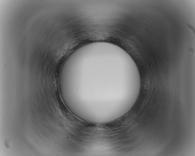 X0000099540743200805160748