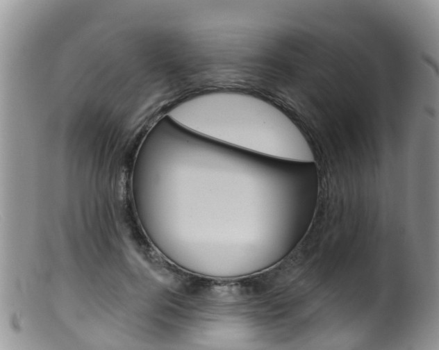 X0000099540744200805160748