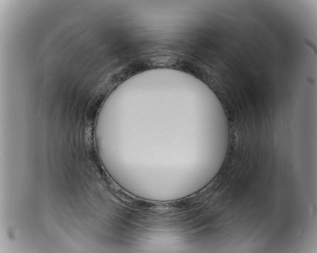 X0000099540745200805160748
