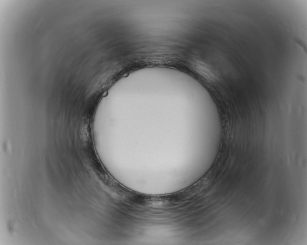 X0000099540746200805160748