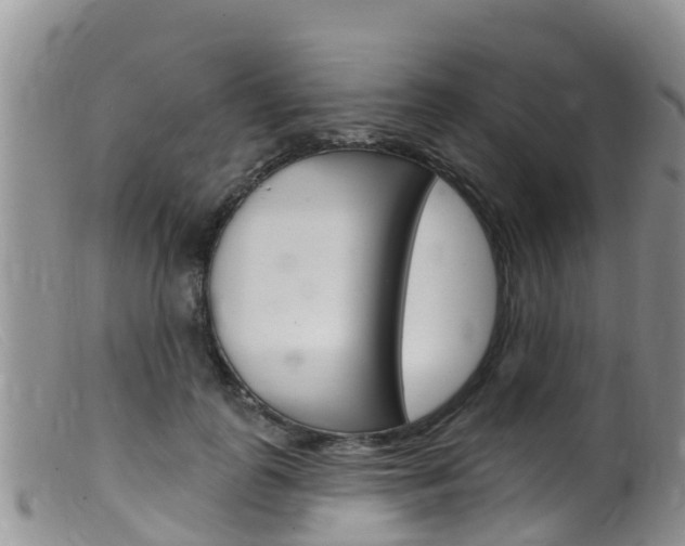 X0000099540747200805160748
