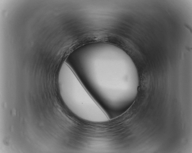 X0000099540748200805160748