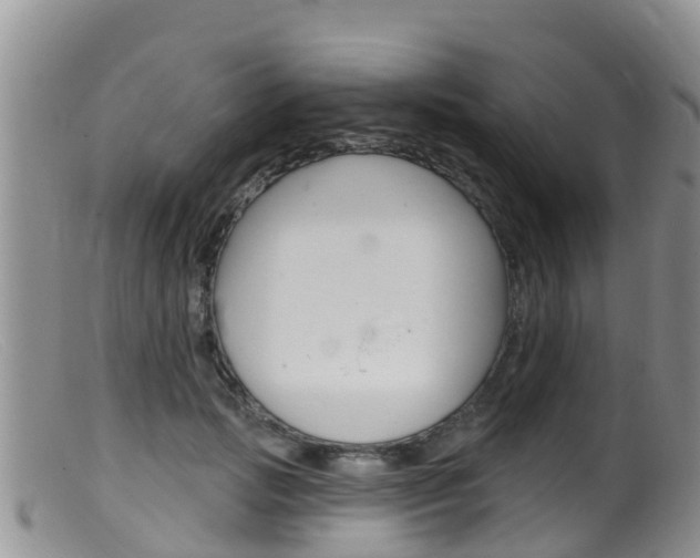 X0000099540749200805160748