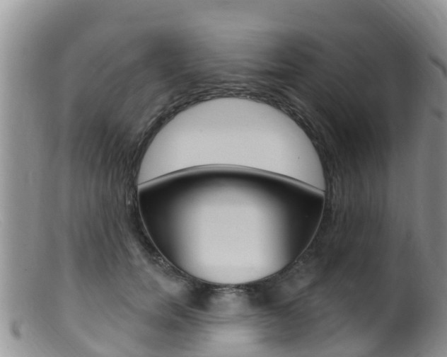 X0000099540750200805160748
