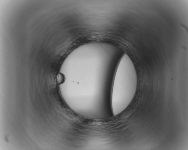 X0000099540751200805160748