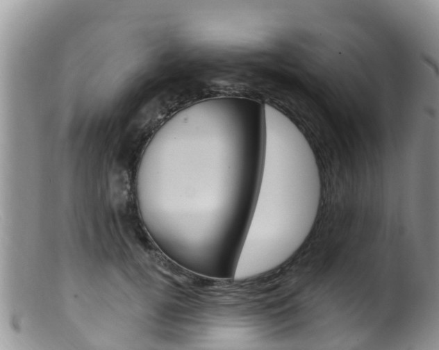 X0000099540752200805160748