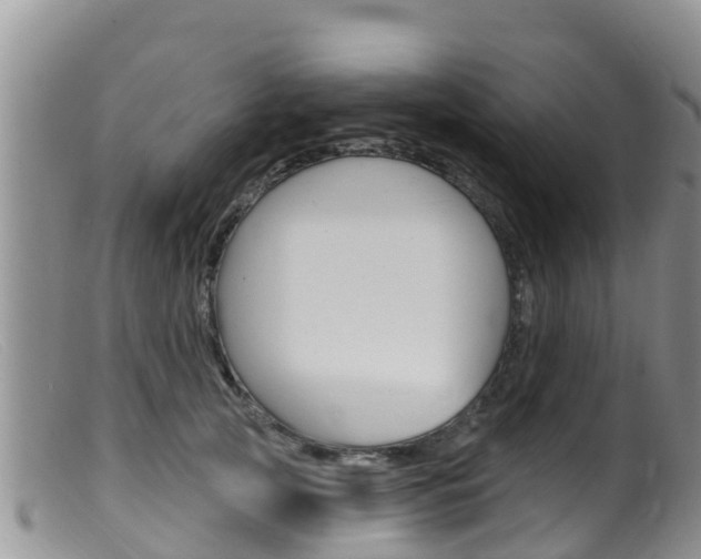 X0000099540753200805160748