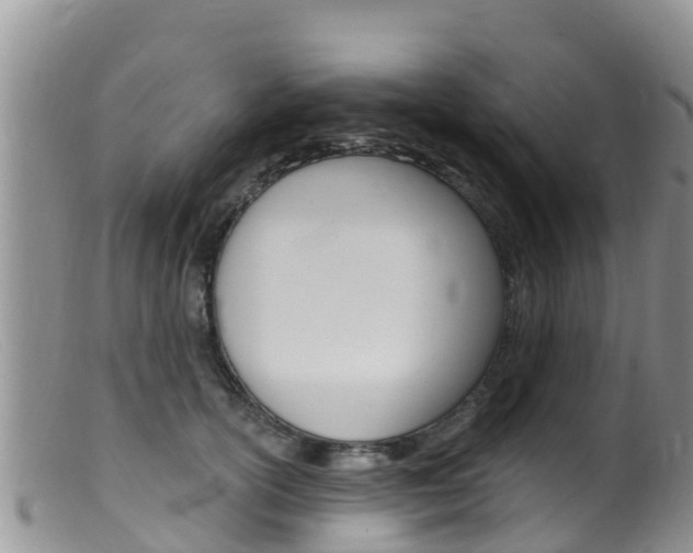 X0000099540754200805160748