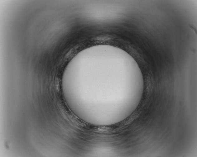 X0000099540758200805160748