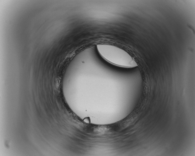 X0000099540759200805160748