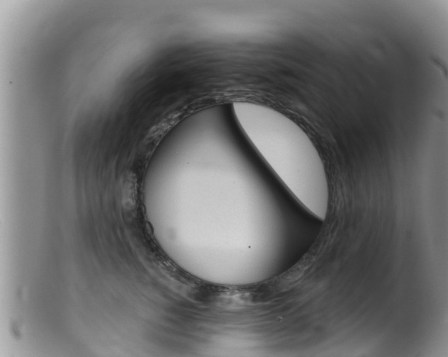 X0000099540760200805160748