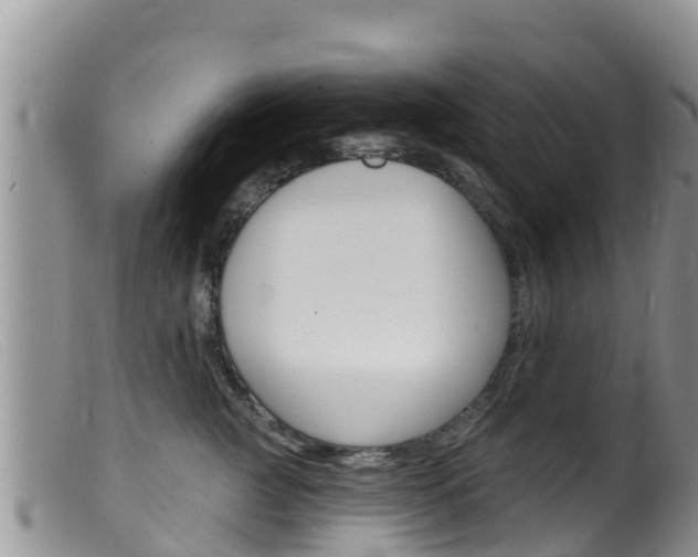 X0000099540761200805160748