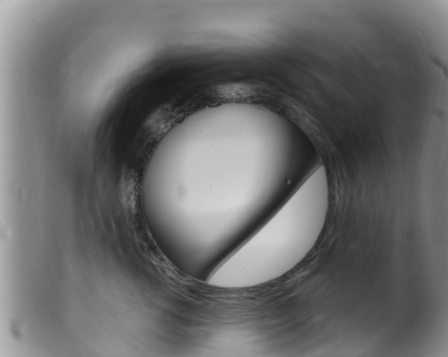 X0000099540762200805160748