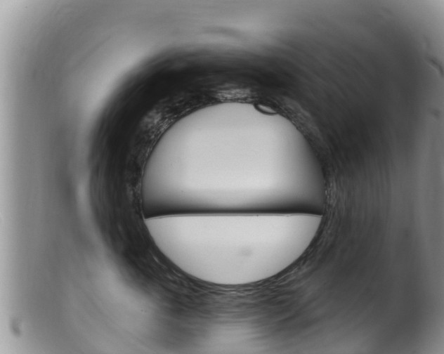X0000099540763200805160748