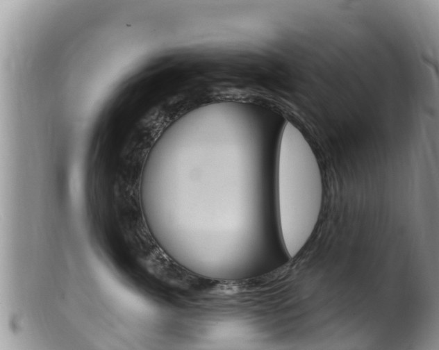 X0000099540764200805160748