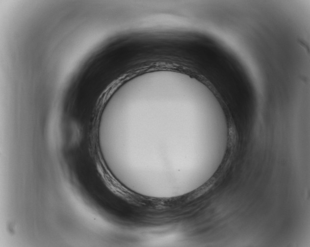 X0000099540765200805160748