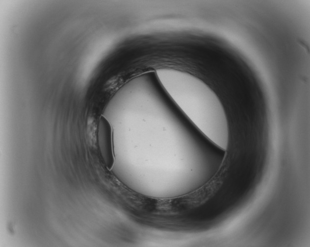 X0000099540766200805160749