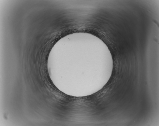 X0000099540769200805160748