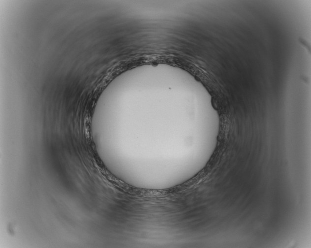 X0000099540770200805160748