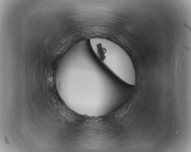 X0000099540771200805160748