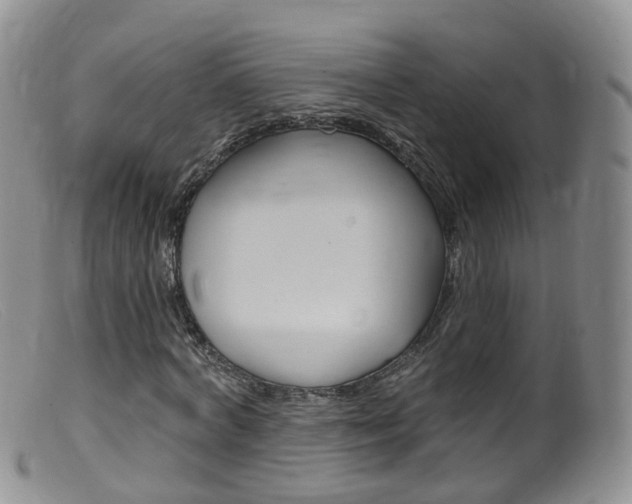 X0000099540772200805160748