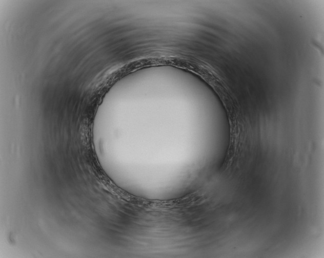 X0000099540773200805160748