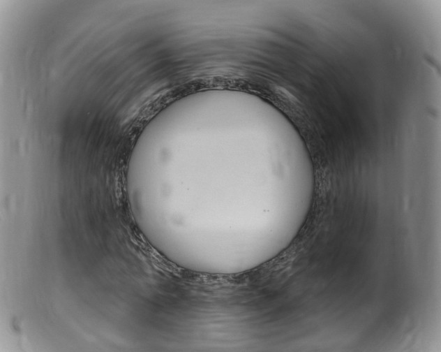 X0000099540774200805160748