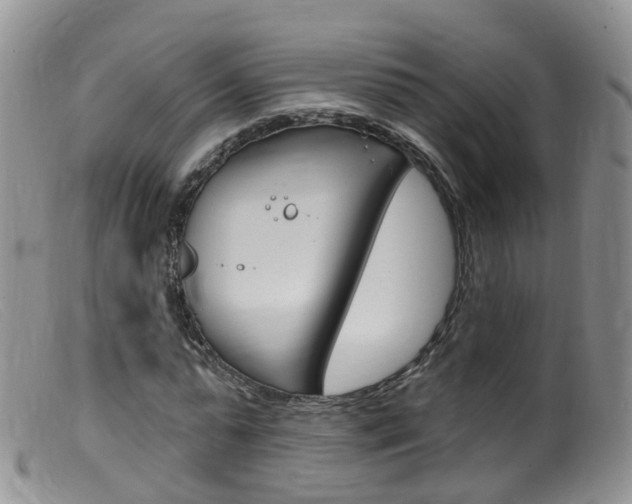 X0000099540775200805160748