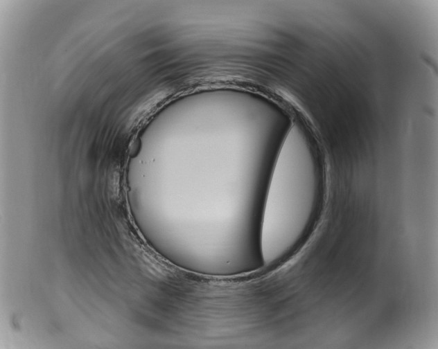 X0000099540777200805160748