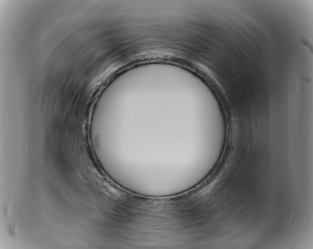 X0000099540778200805160748