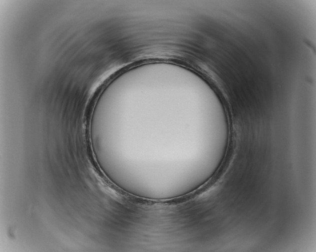 X0000099540779200805160748