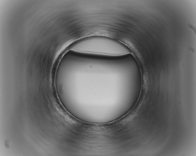 X0000099540780200805160748