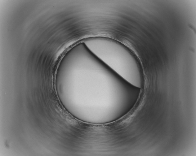 X0000099540781200805160748