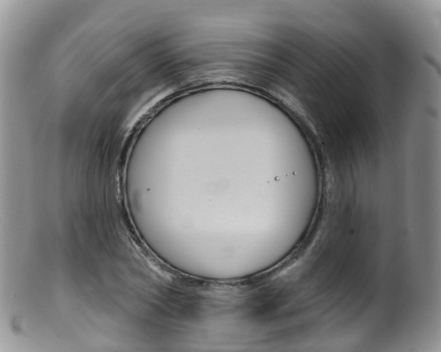 X0000099540782200805160748