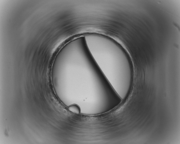 X0000099540783200805160748