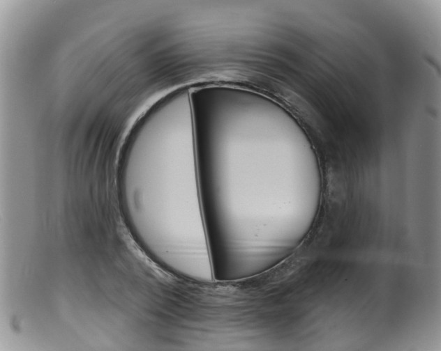 X0000099540784200805160747