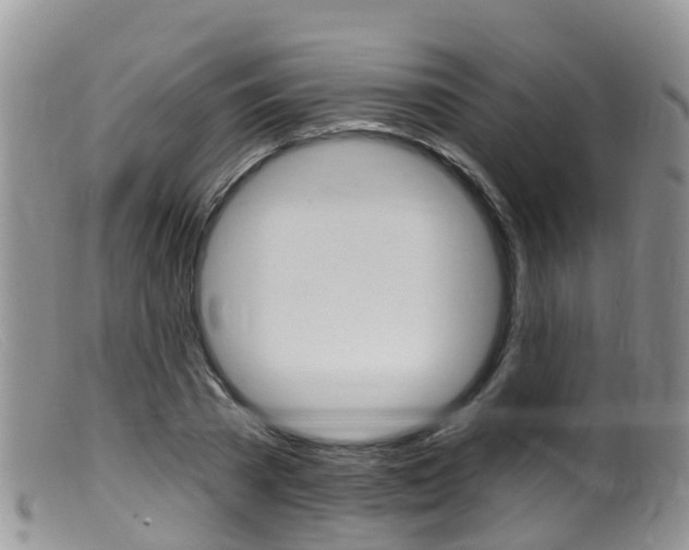 X0000099540785200805160747