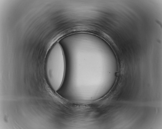 X0000099540786200805160747