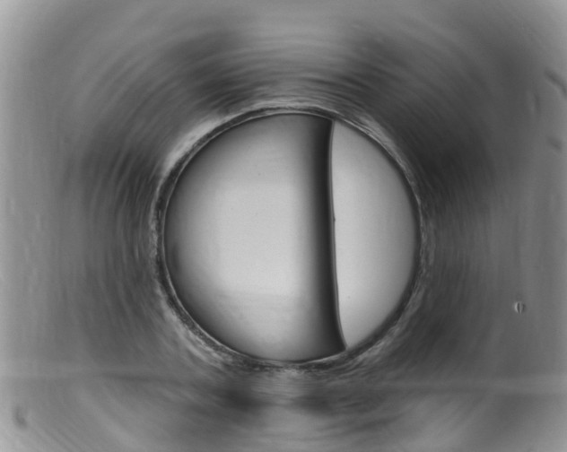X0000099540787200805160747