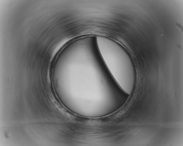 X0000099540788200805160747